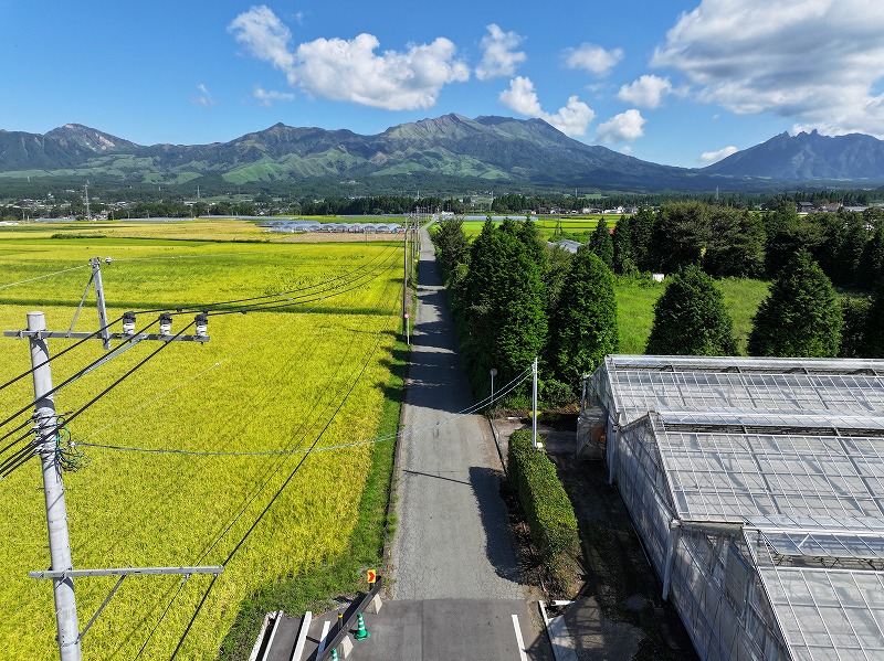 宮園・北ノ原線道路改良工事（5工区）着工前